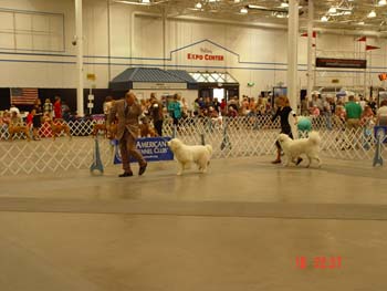DSC09190